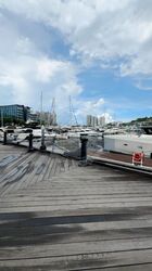 Sentosa Cove (D4), Detached #498673031